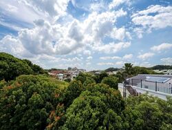 Banyan Park (D5), Terrace #566682801